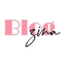 blogzina.com