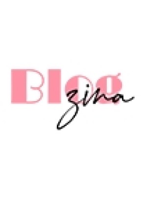 Buy a Guest Post on blogzina.com