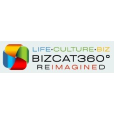 bizcatalyst360.com