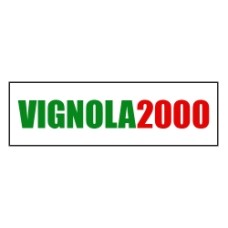 vignola2000.it