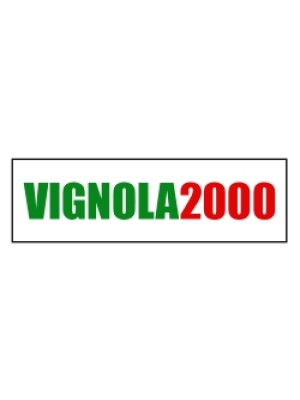Buy a Guest Post on vignola2000.it
