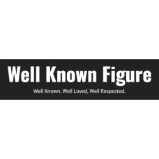 wellknownfigure.com
