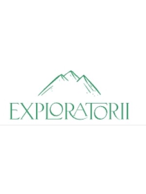 Buy a Guest Post on exploratorii.ro