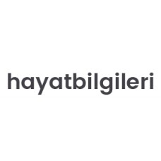 hayatbilgileri.com