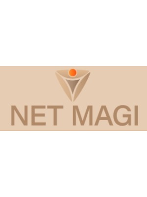 Buy a Guest Post on netmagi.dk