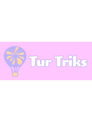 Buy a Guest Post on turtriks.no