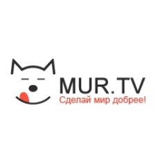 mur.tv