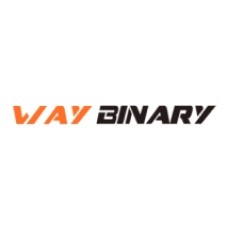 waybinary.com