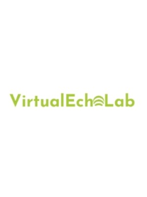 Buy a Guest Post on virtualecholab.com