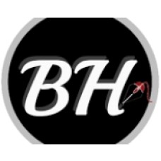 bloggingheros.com
