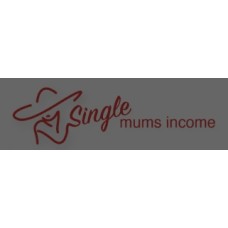 singlemomsincome.com