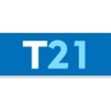 t21.pe