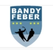 bandyfeber.com