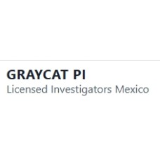 graycatpi.com