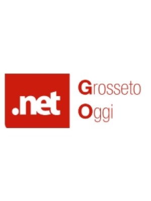 Buy a Guest Post on grossetooggi.net