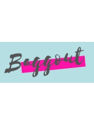 Buy a Guest Post on baggout.com