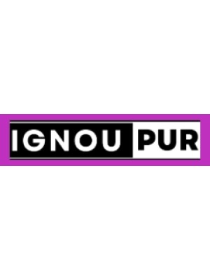 Buy a Guest Post on ignoupur.com