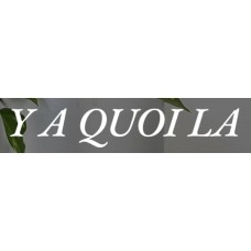 yaquoila.com