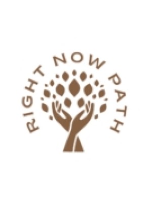 Buy a Guest Post on rightnowpath.net