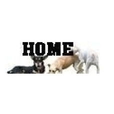 hundevolk.de