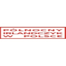 northernirishmaninpoland.com
