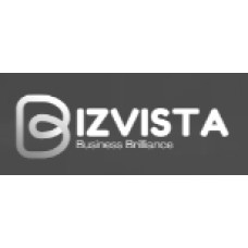 bizzvista.com