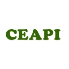 ceapi.com.br
