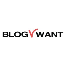 blogvwant.com