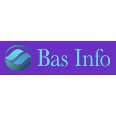basinfo.se