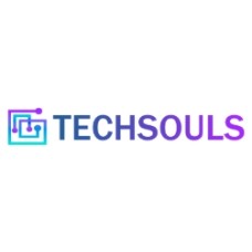 techsouls.co.uk