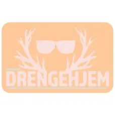 drengehjem.dk